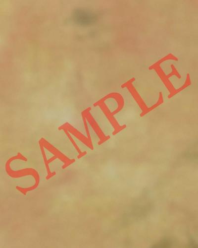 6C10D 5816