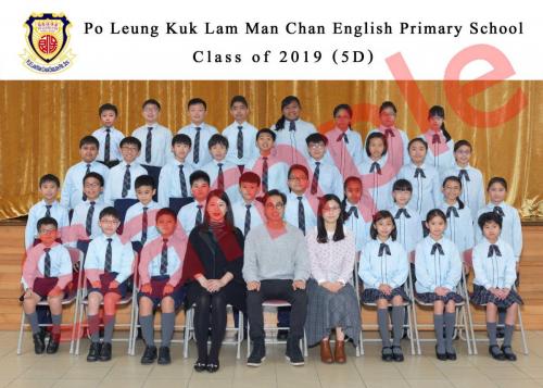 5D L 0288+