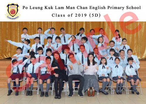 5D L 0290+
