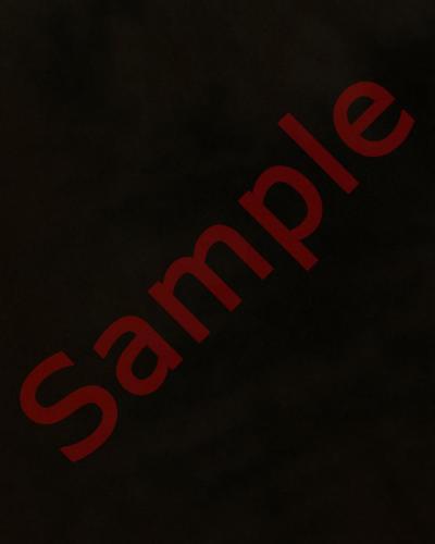 P6A02A