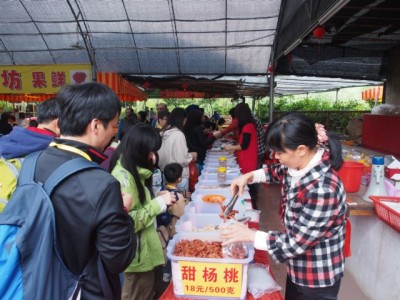 photo41
