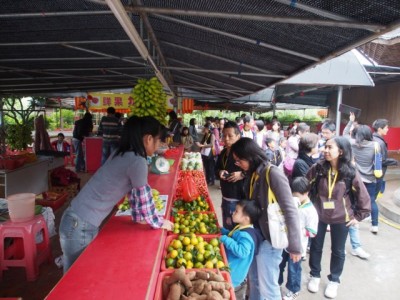 photo43